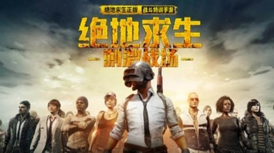 pubg-china-r471x.jpg