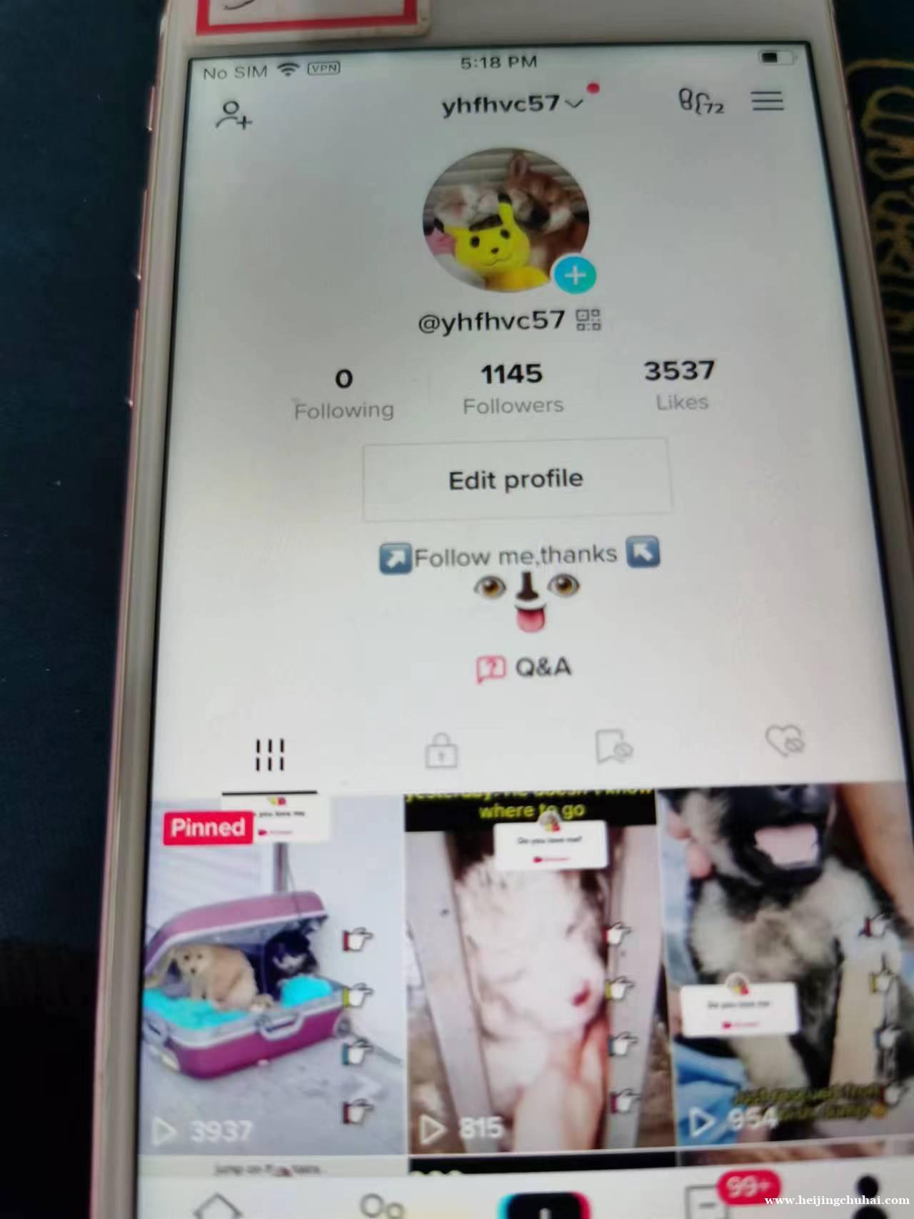 出全球tiktok 千粉 美女 宠物 游戏号 账号6.20