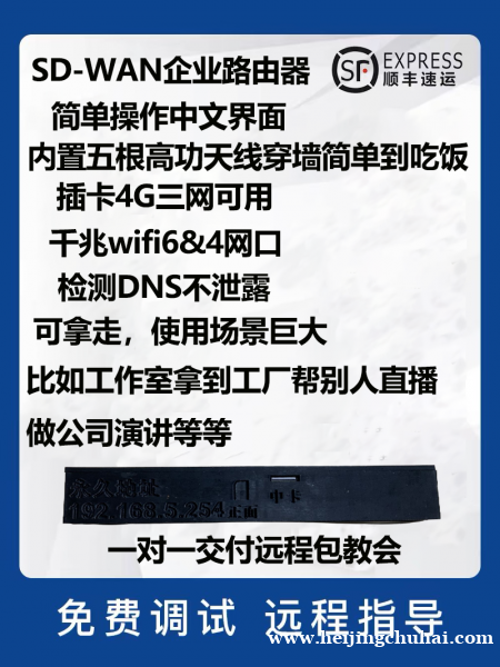 TK-SD-WAN软路由直播户外随身wifi可插网线和手机卡