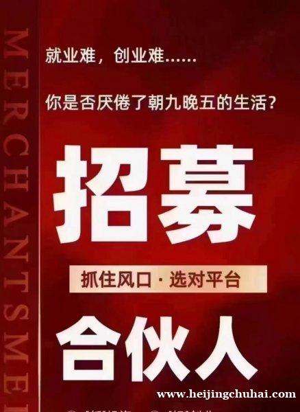 全网**新10000+源头项目商城总站，合伙人项目全部0元