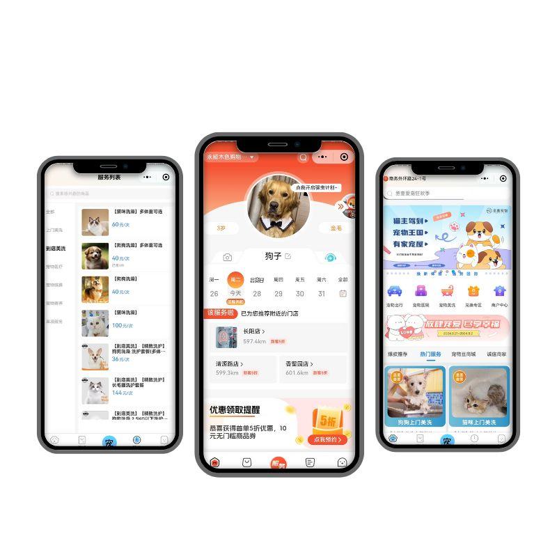 搭建宠物美容护理小程序可以做哪些实用功能呢？