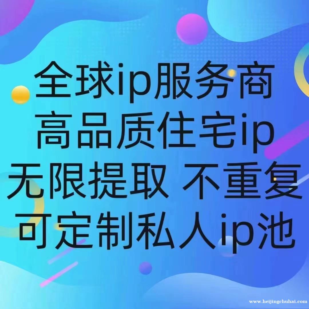 全球ip服务商 静态动态住宅ip 源头价格