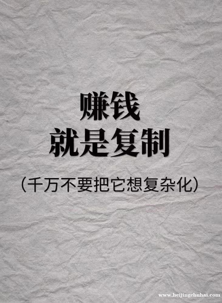 日结代购电商搬砖项目，日入200-800不等，蓝海项目可以放