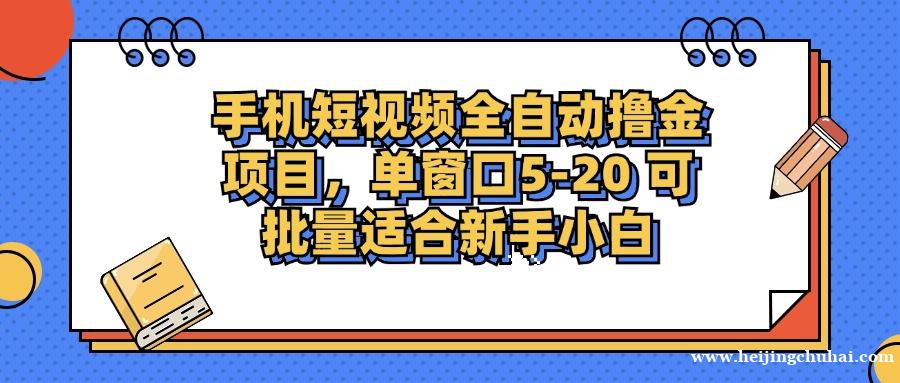 手机短视频掘金项目，单窗口单平台5-20 可批量