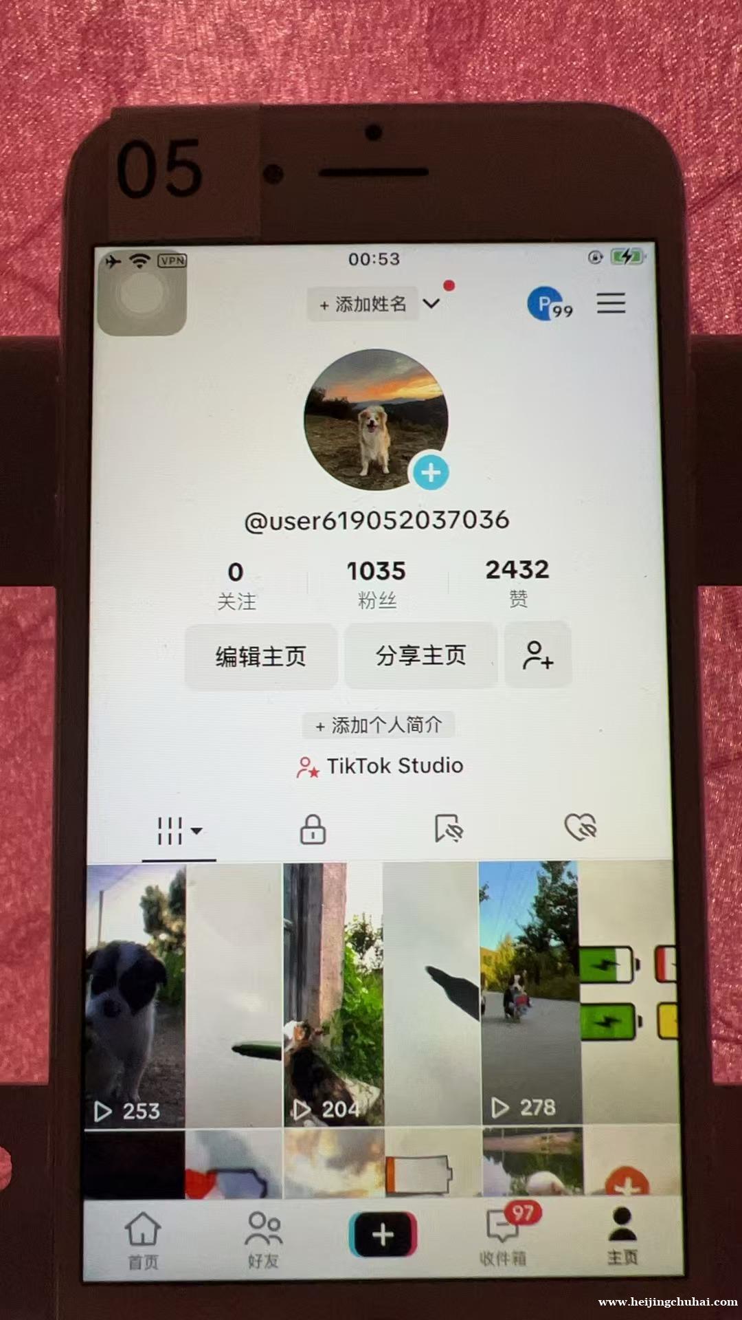 专注tiktok 美区宠物千粉账号 一手工作室源头价