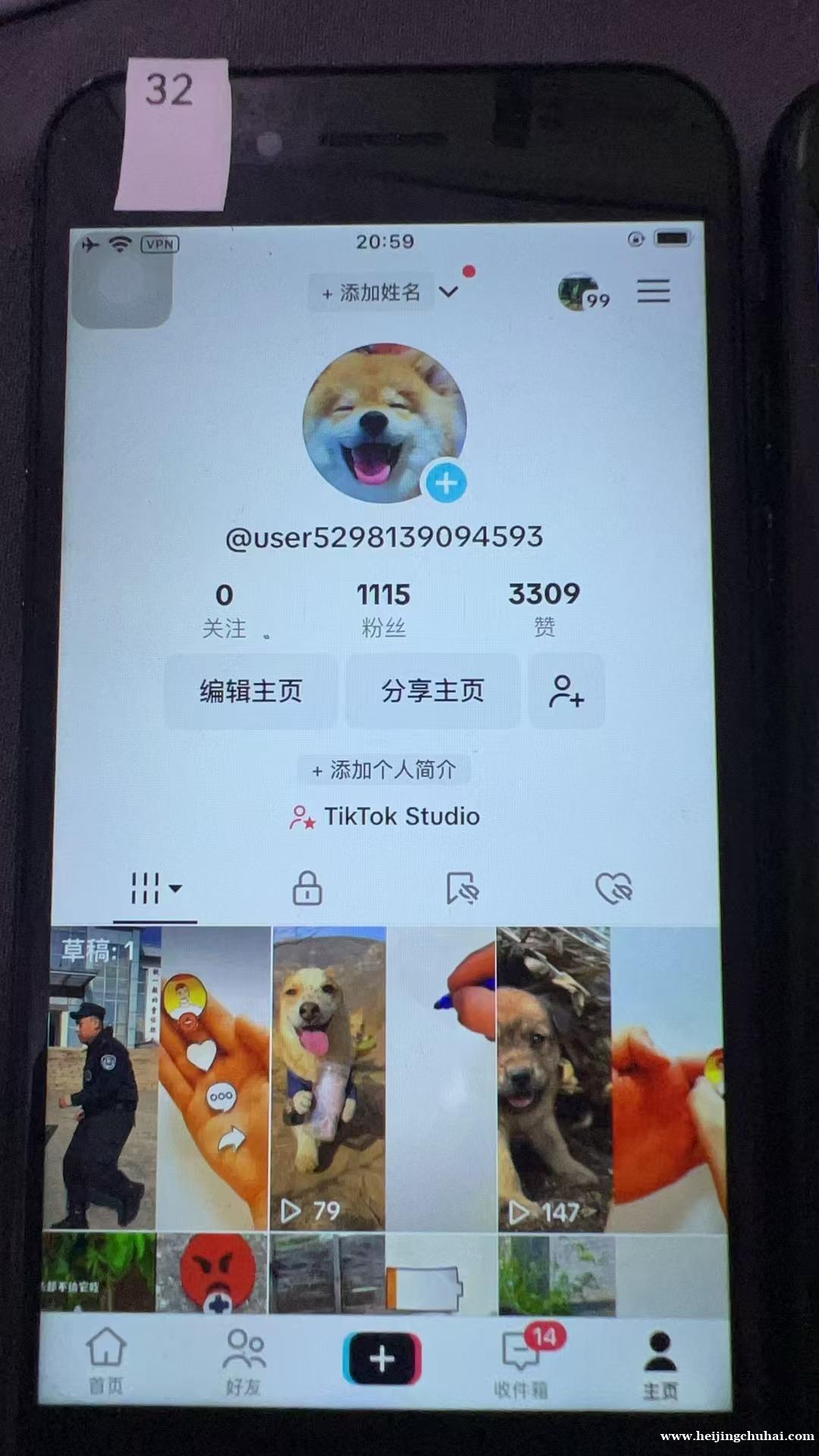 专注tiktok 美区宠物千粉账号 一手工作室源头价