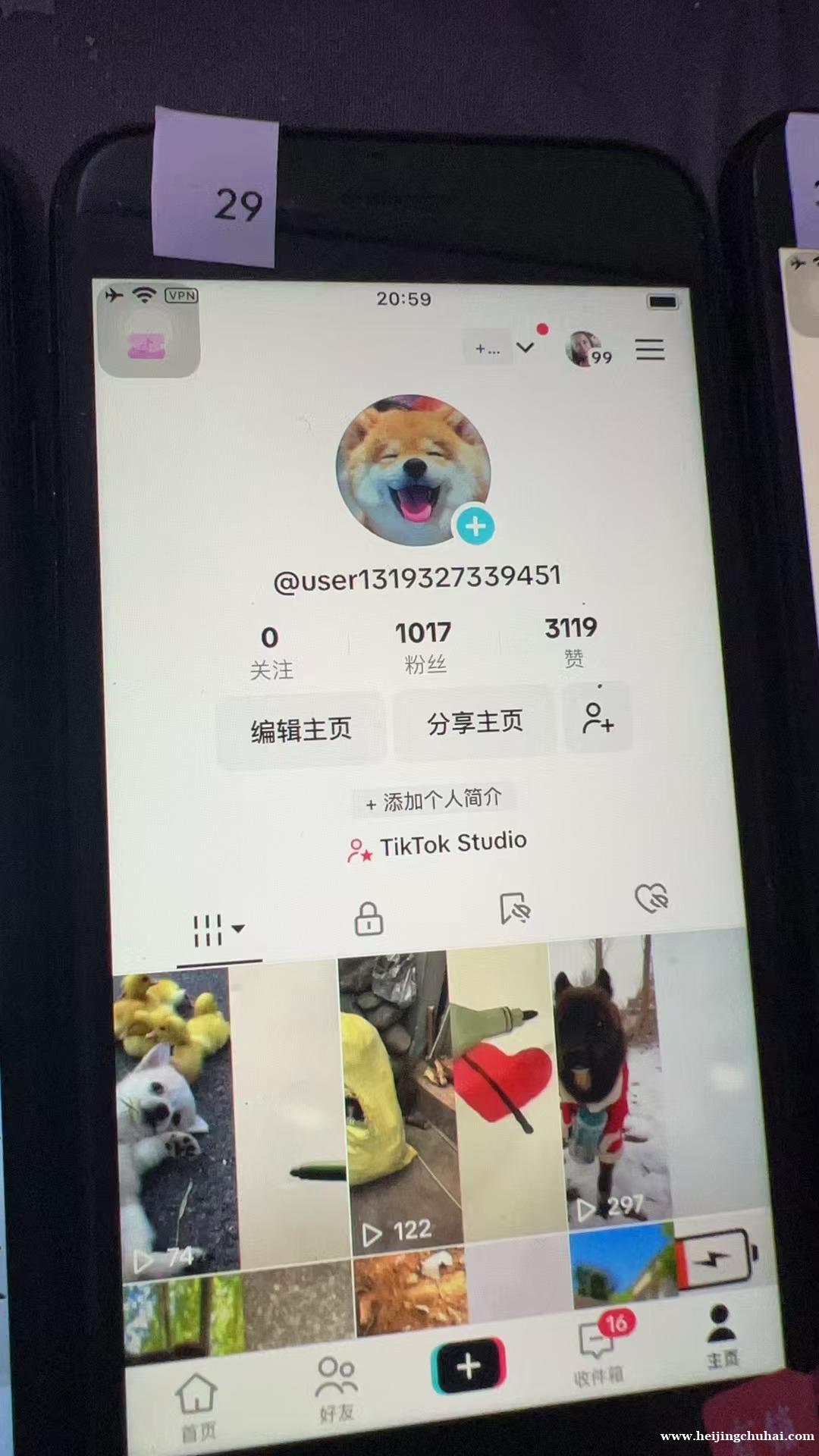 专注tiktok 美区宠物千粉账号 一手工作室源头价