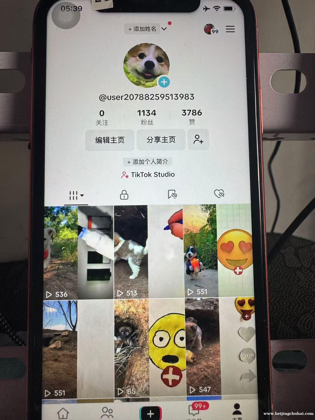 Tiktok 美区自然流千粉可直播300个现货 打包XX