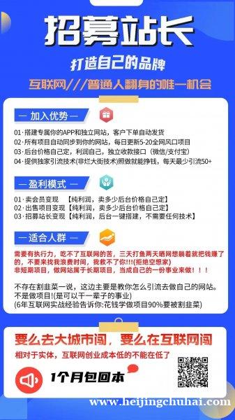 互联网创业项目整合网站招合伙人，添加微信咨询免费送3个实操项